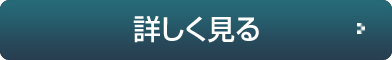 詳しく見る