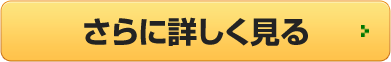 さらに詳しく見る
